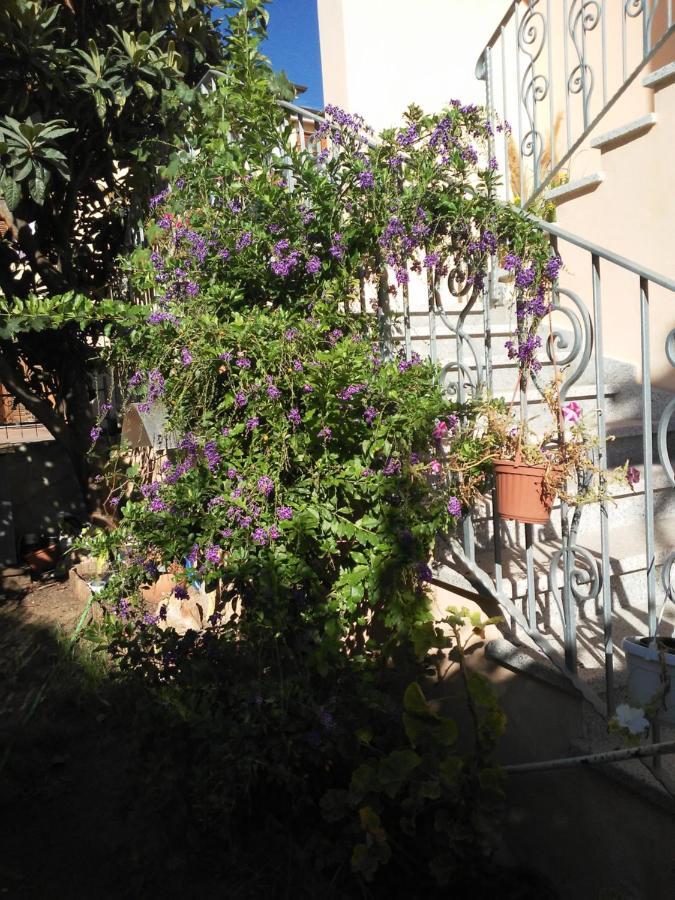 B&B Sos Manneddos Posada  Ngoại thất bức ảnh